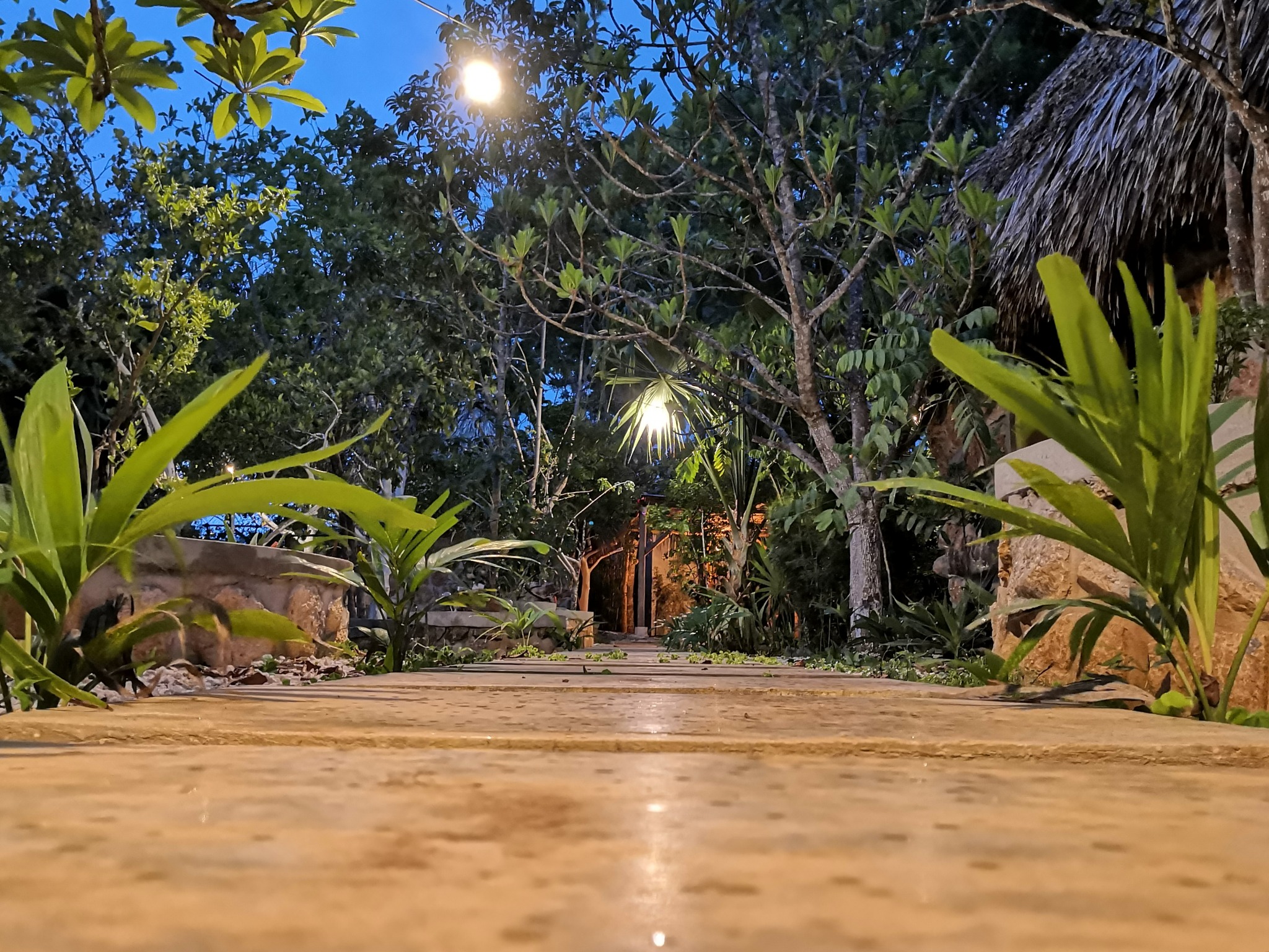 Garden walkway